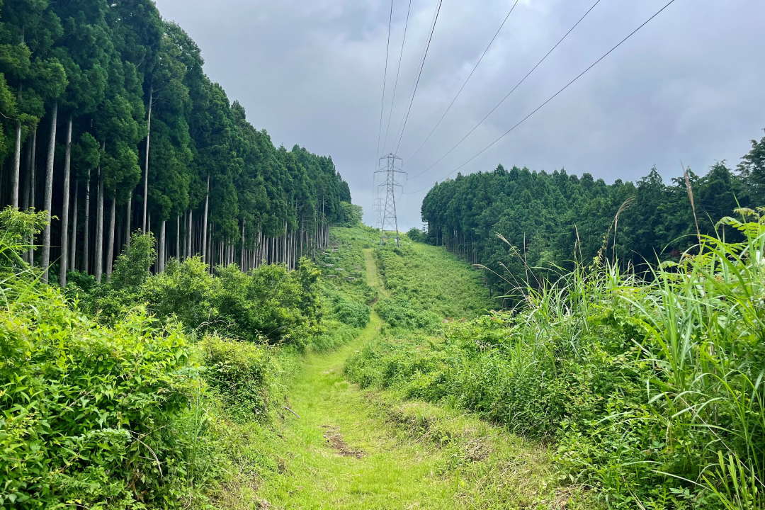 コースの様子 写真